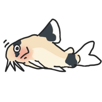 きらら三九 (@xkirara39x) 's Twitter Profile