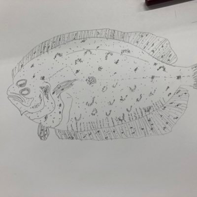 かねさかさんのプロフィール画像