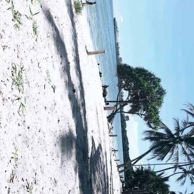 Jeffdybala254's profile picture. Believer... 💻wizard