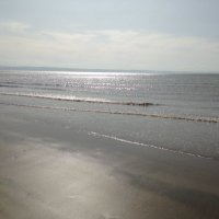Paul (@paul48311435) 's Twitter Profile