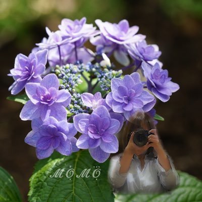 𝓜𝓞̣̇𝓜𝓞̣⃛さんのプロフィール画像