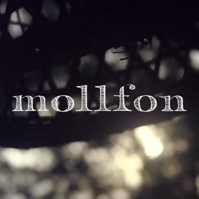 @mollfonmusic