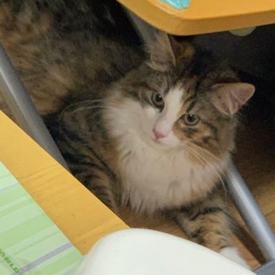 HIROHIRO1010mo's profile picture. ROM用