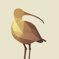 Curlew Recovery Partnership(@curlewrecovery) 's Twitter Profile Photo