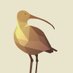Curlew Recovery Partnership (@curlewrecovery) Twitter profile photo