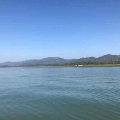 ICEDOMM's profile picture. 