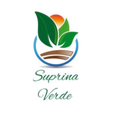 SuprinaVerde's profile picture. 🌴 Tropical Plants                       🌍 Import & Export business from out of the whole world       📩 Info@suprinaverde.com