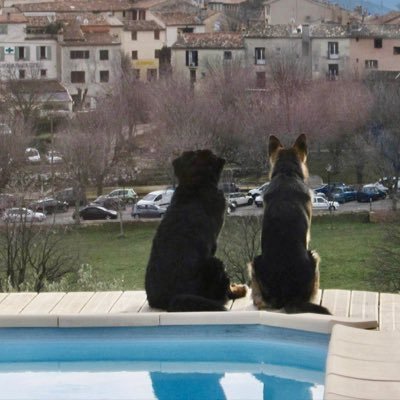 MarjaKronstrom's profile picture. Elämää opetteleva  retkeilyä harrastava essp.  ps Profiilikuvassa edesmenneet isoveljet talviasunnollamme.