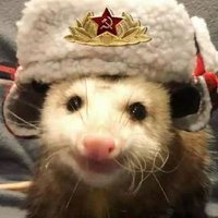 Bolshevik Apologist ☭(@OkiraOk) 's Twitter Profile Photo