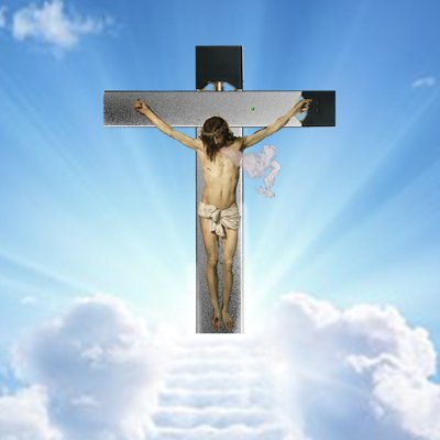 mongoos_'s profile picture. 