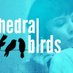 Cathedral Birds (@CathedralBirds) Twitter profile photo