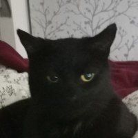 Simon Hudson (@g7mie_simon) 's Twitter Profile