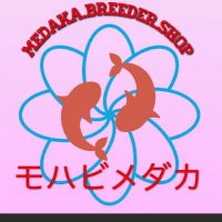 モハビメダカ、神戸バエル (@mdmm4nmk03f1beb) Twitter profile photo