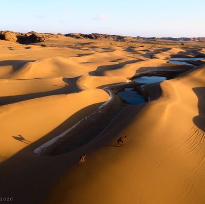 FF8MZxodkTWPyVv's profile picture. مهتم في الطقس والبيئه