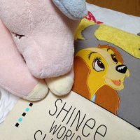 ひろこ (@hirokoshimatora) 's Twitter Profile
