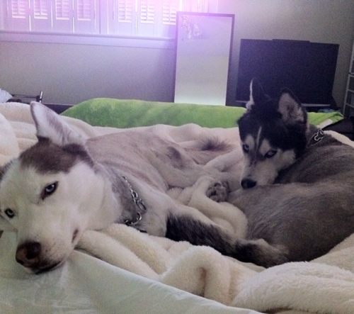 Sm0kingGhost's profile picture. Here