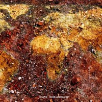Thünen Coordination Unit Climate Soil Biodiversity (@thuenenclimsoil) 's Twitter Profile