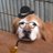 pi415's profile image
