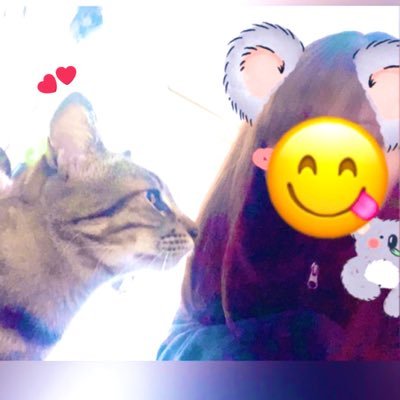 福島 2020.2.2♡MAZDAロータリー兄妹!!🍙✨2020.5.26復活✨/無言フォロー失礼致します!!🙇気軽にフォローしてください😊