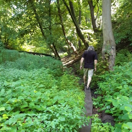 The Friends of Small's Creek team posts photos and videos and tweets about news affecting the ravine wetland devastated by Metrolinx. Restoration Plan Needed.