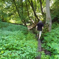 Save Small's Creek (@smallscreek) 's Twitter Profile