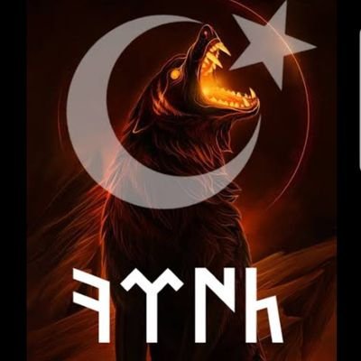 baybarsmilas's profile picture. Devlet , Vatan