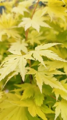 hyz02187855's profile picture. 追逐性的挚友0839