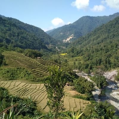 james_ragi's profile picture. 