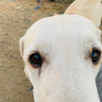 ouch2oops's profile picture. lockdown brought me here