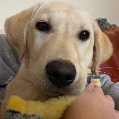 YourAlienMaste1's profile picture. Kneel before me