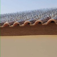 شركة نظافه عامه (@jwfvirdfzzv4e8k) 's Twitter Profile