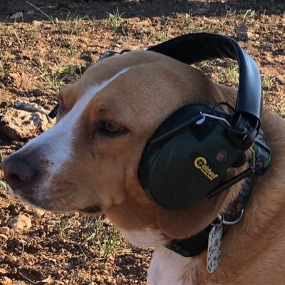 Army DirtyLegInfantry, vagabond sailor. Business owner. Former Paramedic/ER Nurse. #DogRight #ClownWorld. Beagles. Happily Married no DMs from Traps