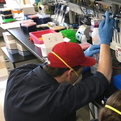 BrianKipp_'s profile picture. Postdoctoral fellow - Nestler Lab, Icahn School of Medicine. Savage lab alumni from Binghamton University