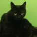 Dasha (@nlyn75) Twitter profile photo Dasha (@nlyn75) Twitter profile photo
