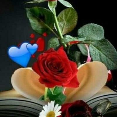 AB72sK9mH4t4M0c's profile picture. بنت الاكابر