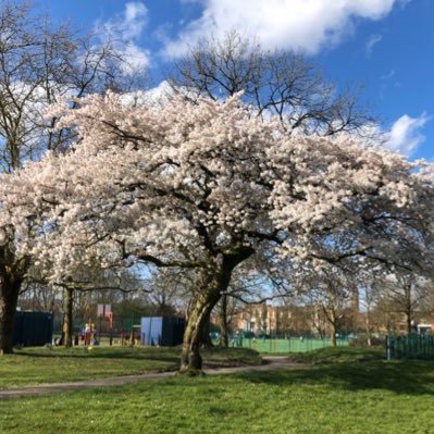 We are local residents coming together to improve Chapel Street Park and create a wonderful community space and garden on the former bowling green.