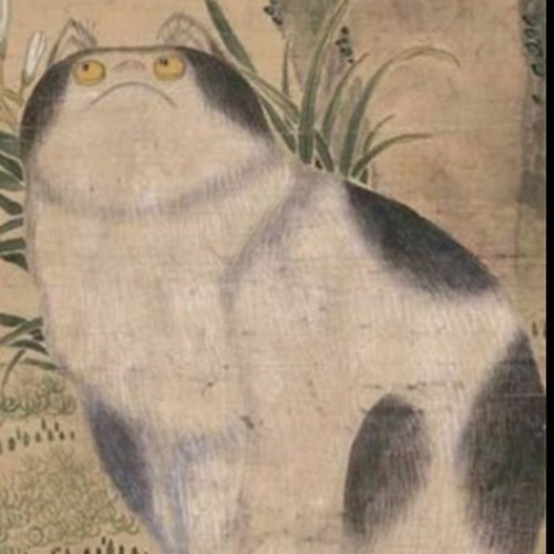 wiseoz's profile picture. 