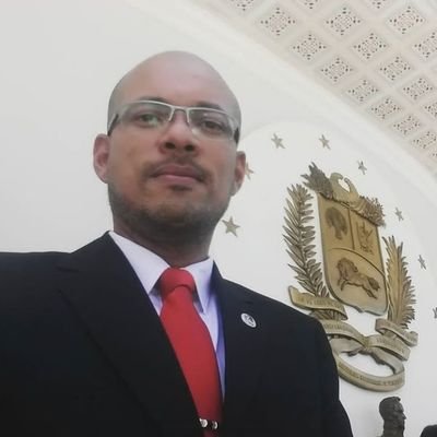 Diputado AN Mérida del PSUV-GPPSB
Constituyente de la Patria 2017

¡Venceremos!