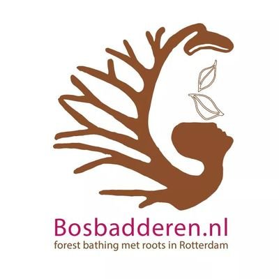 Forest bathing in Nederland met roots in Rotterdam