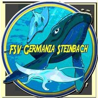 FSV Germania Steinbach_Onlineliga(@Hallatan1) 's Twitter Profile Photo