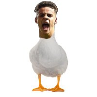 Hen🔰 (@quacksaarons) 's Twitter Profile