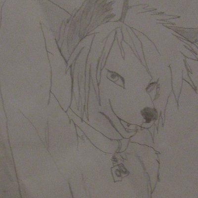 🇫🇷 furs ect bref demander pour plus d'info :p