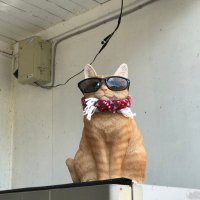 masami asai (@masamiasai1) Twitter profile photo