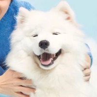 取引垢 (@pink___s2s2) 's Twitter Profile