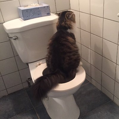ewasm3's profile picture. He was me