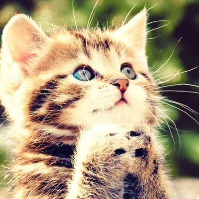 jkmack12's profile picture. 