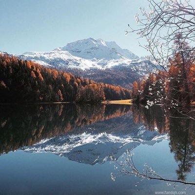 krima001211's profile picture. احبك ♥️