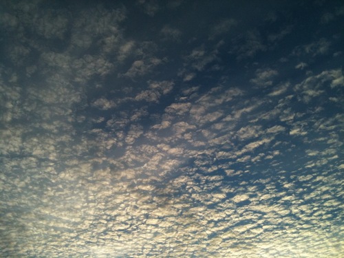 ShermanKong80's profile picture. 