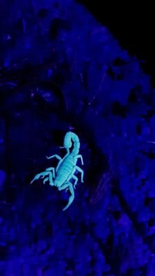 stratfang's profile picture. updating....