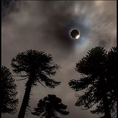 davids1316's profile picture. 